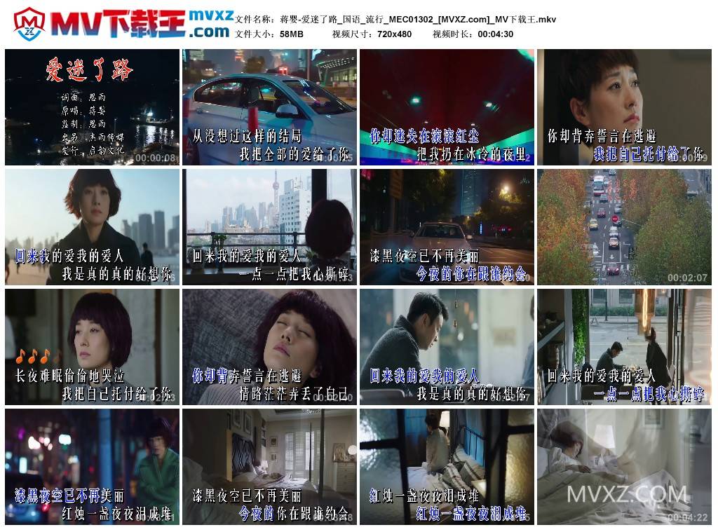 蒋婴-爱迷了路_国语_流行_MEC01302